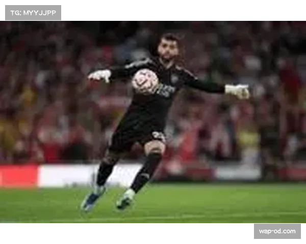 拉门斯曼联首秀零封对手扑球摘高球表现完美获吧友9.8高分