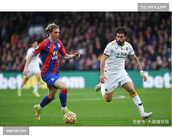 沃顿成绝对机会创造核心 水晶宫中场组织能力提升